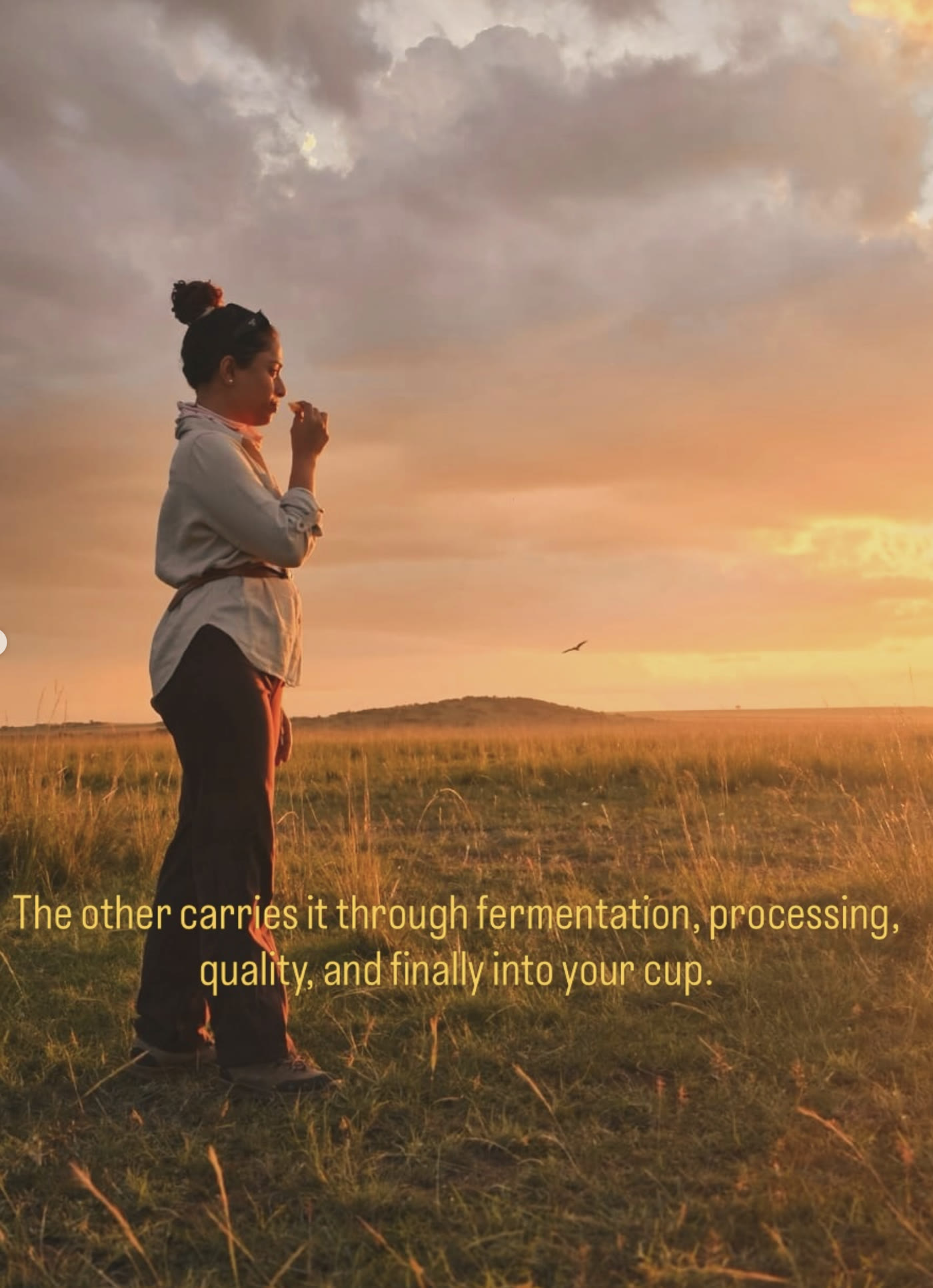 Manasa evaluating aroma outdoors at sunset